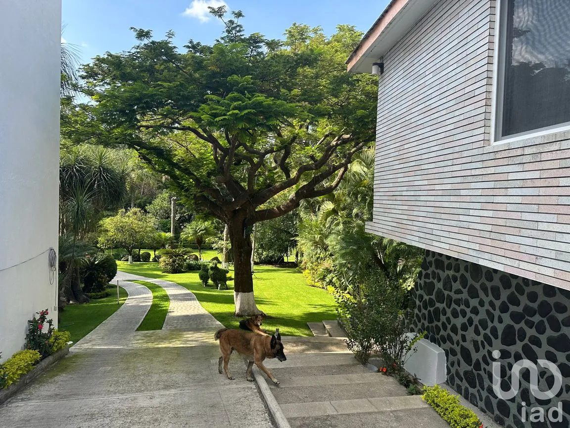 Casa en Venta en Rancho Cortes, Cuernavaca, Morelos | NEX-251539 | iad México | Foto 8 de 22