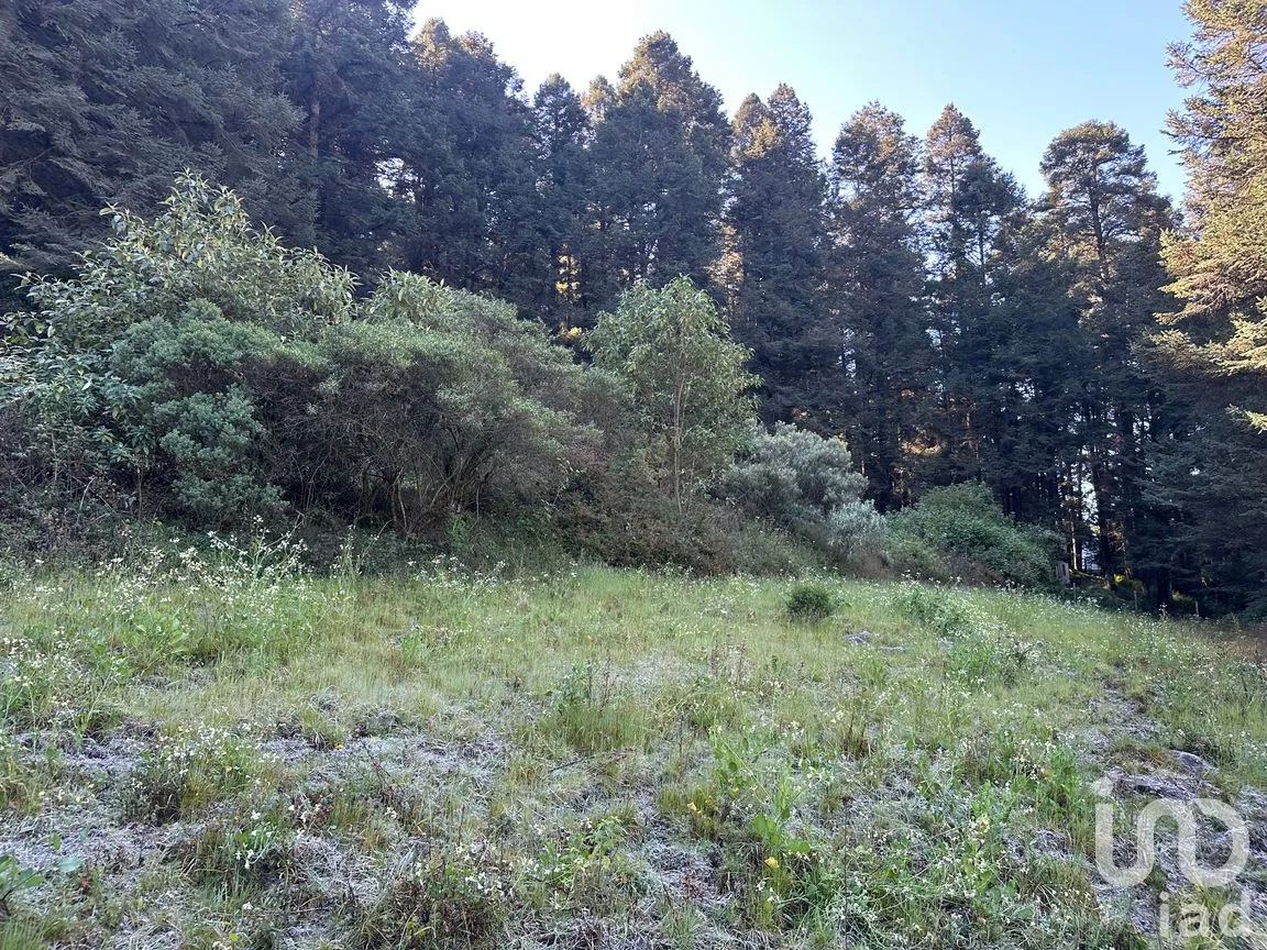 Terreno en Venta en La Cañada, Huixquilucan, México | NEX-266204 | iad México | Foto 5 de 10