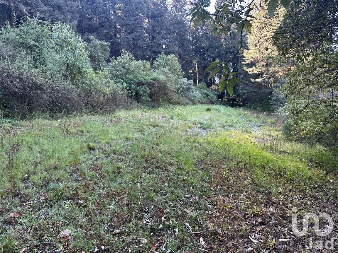 Terreno en Venta en La Cañada, Huixquilucan, México | NEX-266204 | iad México | Foto 6 de 10
