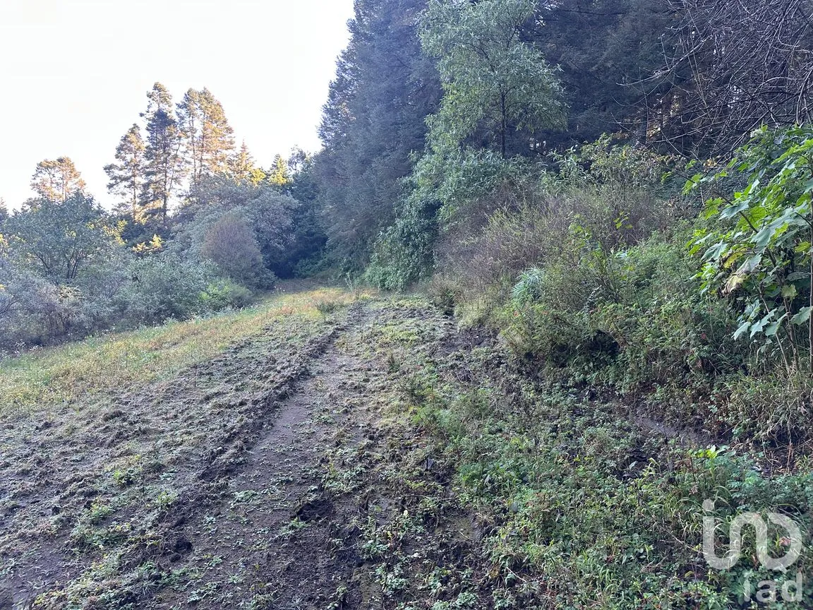 Terreno en Venta en La Cañada, Huixquilucan, México | NEX-266204 | iad México | Foto 7 de 10