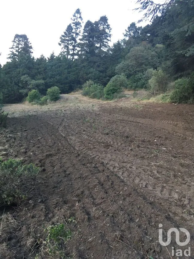 Terreno en Venta en La Cañada, Huixquilucan, México | NEX-266204 | iad México | Foto 8 de 10