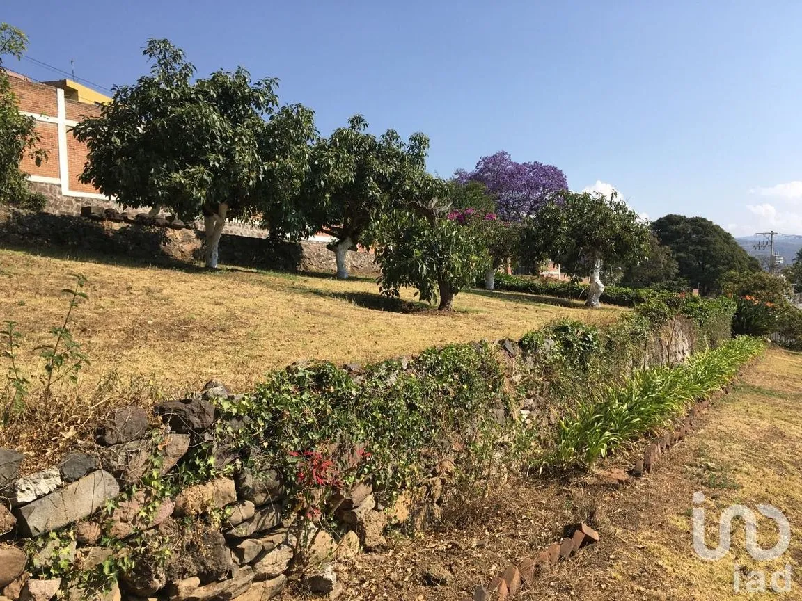 Terreno en Venta en De Teotla, Tenancingo, México | NEX-46670 | iad México | Foto 4 de 7