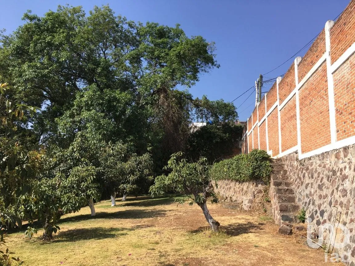 Terreno en Venta en De Teotla, Tenancingo, México | NEX-46670 | iad México | Foto 7 de 7