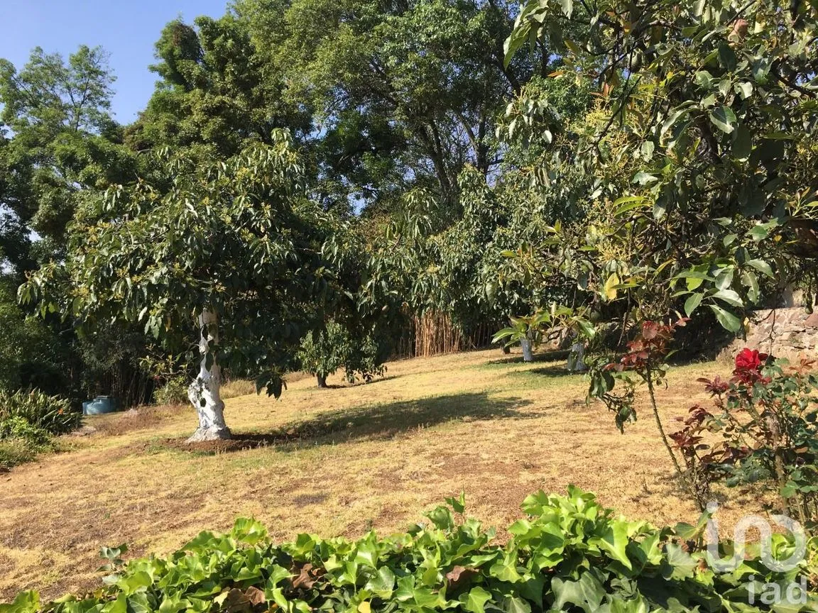 Terreno en Venta en De Teotla, Tenancingo, México | NEX-46670 | iad México | Foto 2 de 7