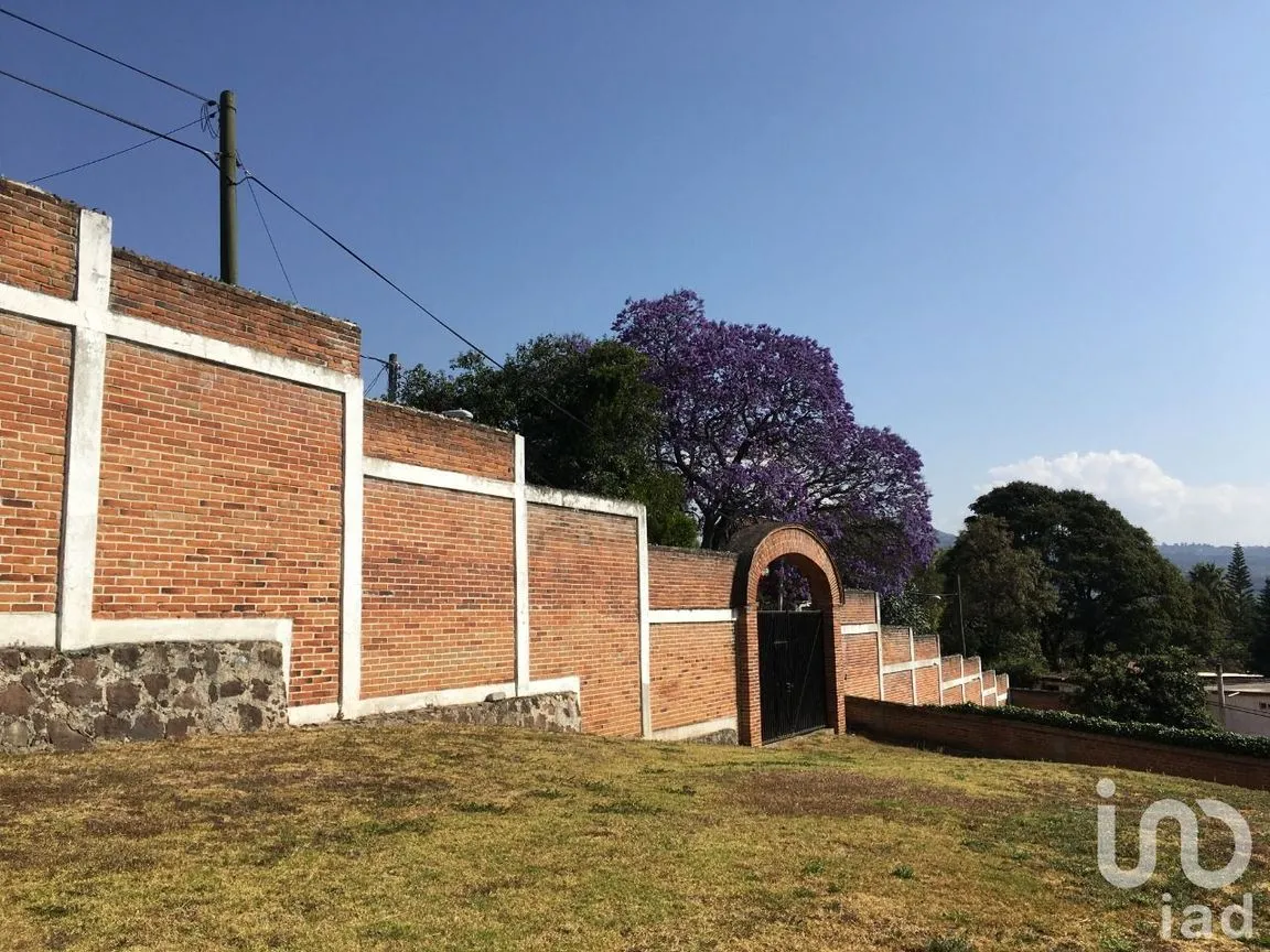 Terreno en Venta en De Teotla, Tenancingo, México | NEX-46670 | iad México | Foto 6 de 7