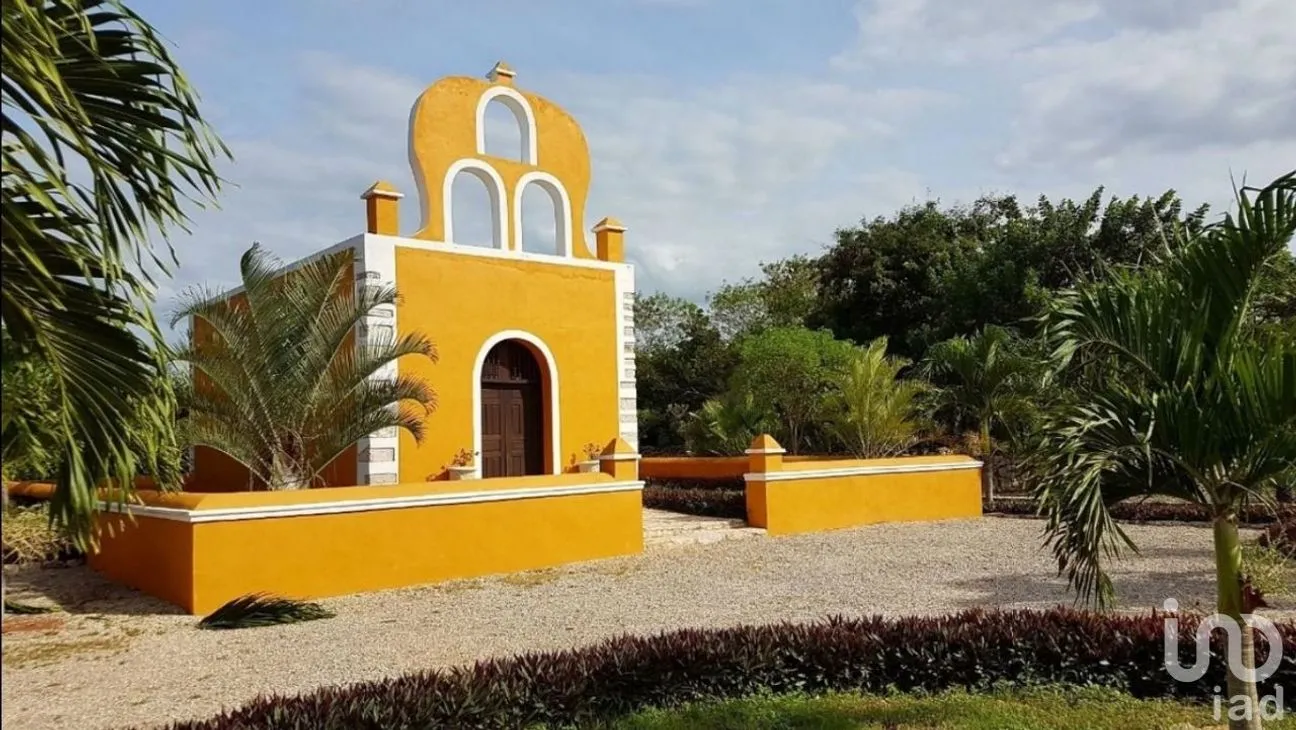 Terreno en Venta en Timul, Motul, Yucatán | NEX-48356 | iad México | Foto 7 de 10
