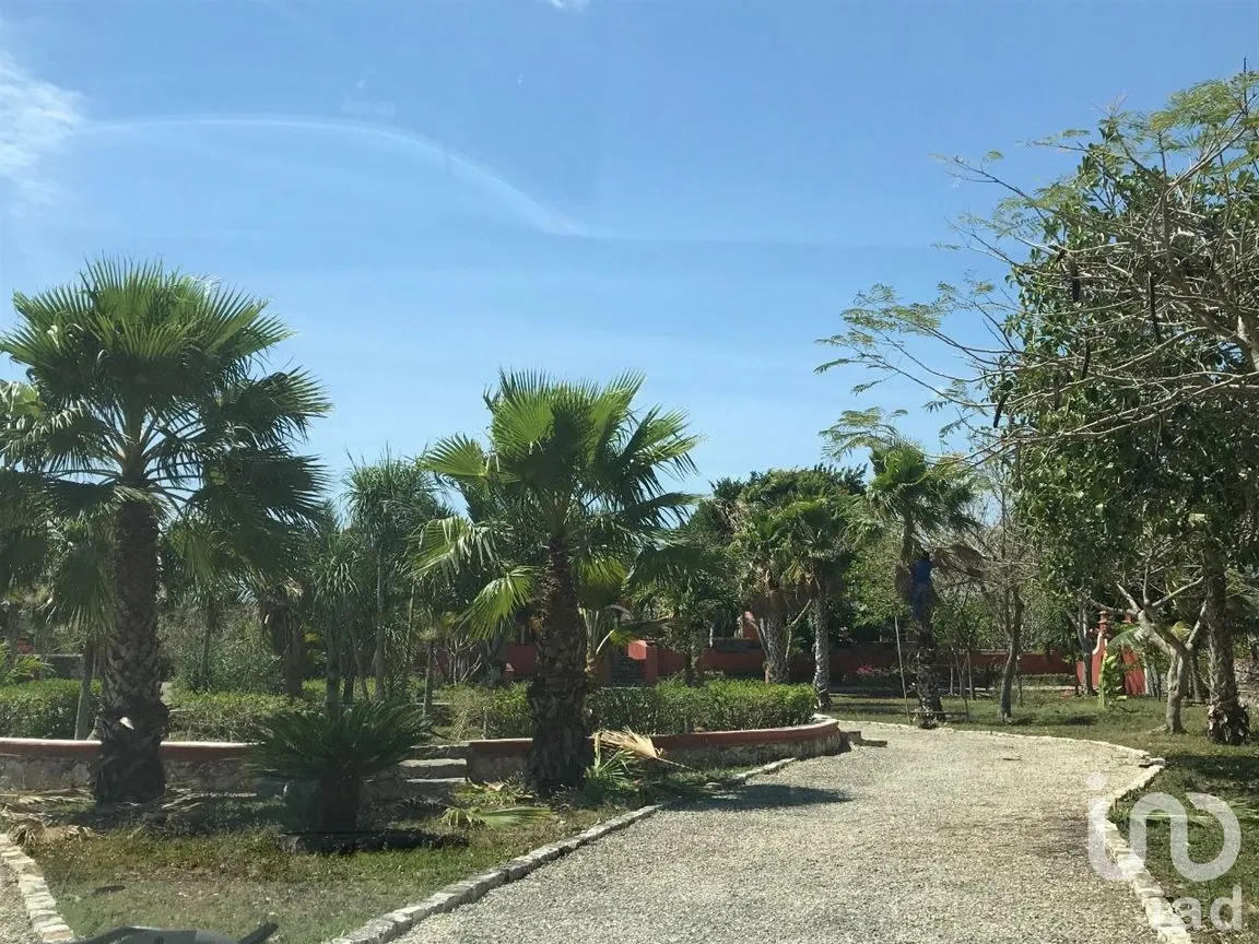 Terreno en Venta en Timul, Motul, Yucatán | NEX-48356 | iad México | Foto 3 de 10