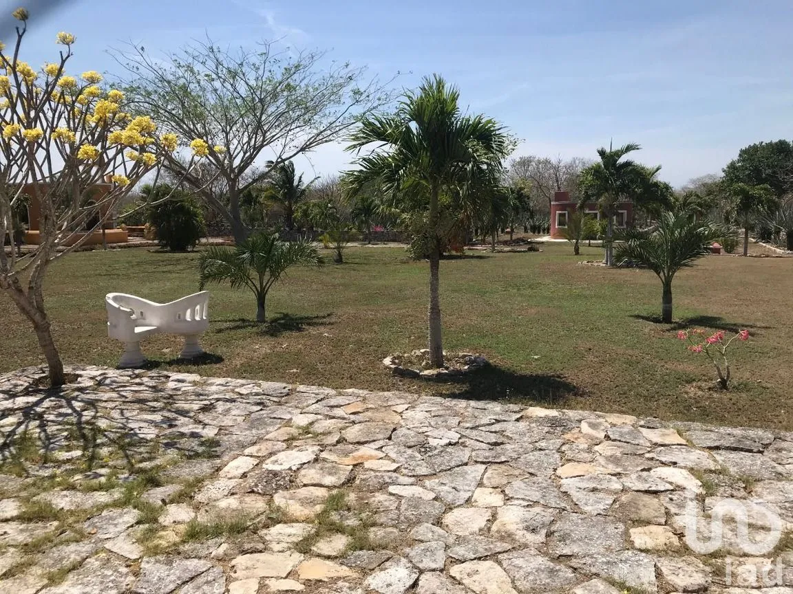 Terreno en Venta en Timul, Motul, Yucatán | NEX-48466 | iad México | Foto 6 de 10
