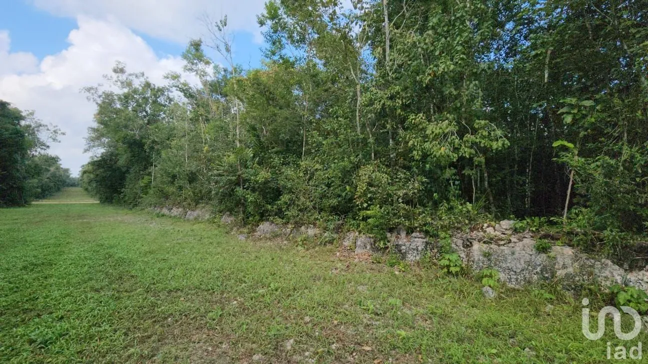 Terreno en Venta en Tres Marias, Lázaro Cárdenas, Quintana Roo | NEX-245065 | iad México | Foto 11 de 25