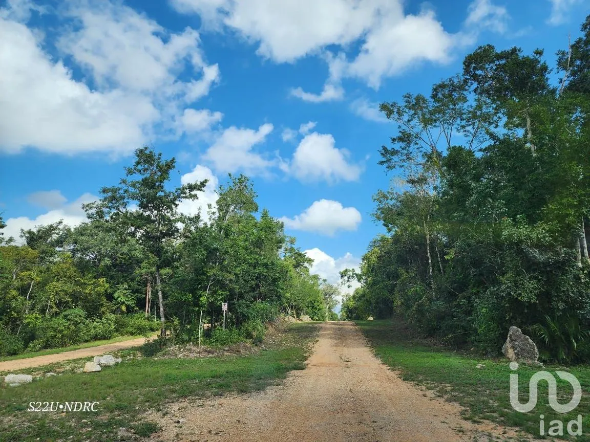 Terreno en Venta en Tres Marias, Lázaro Cárdenas, Quintana Roo | NEX-245065 | iad México | Foto 12 de 25