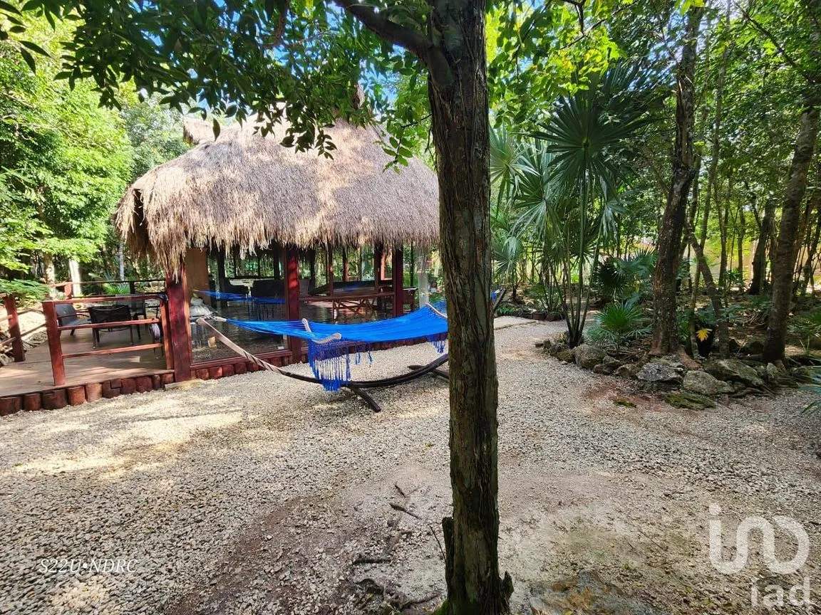 Terreno en Venta en Tres Marias, Lázaro Cárdenas, Quintana Roo | NEX-245065 | iad México | Foto 14 de 25