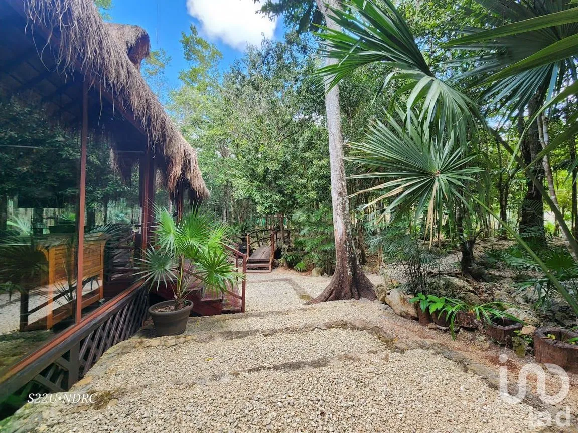 Terreno en Venta en Tres Marias, Lázaro Cárdenas, Quintana Roo | NEX-245065 | iad México | Foto 15 de 25