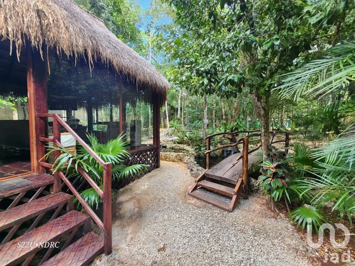 Terreno en Venta en Tres Marias, Lázaro Cárdenas, Quintana Roo | NEX-245065 | iad México | Foto 16 de 25