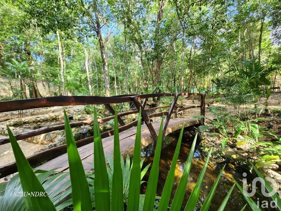 Terreno en Venta en Tres Marias, Lázaro Cárdenas, Quintana Roo | NEX-245065 | iad México | Foto 17 de 25
