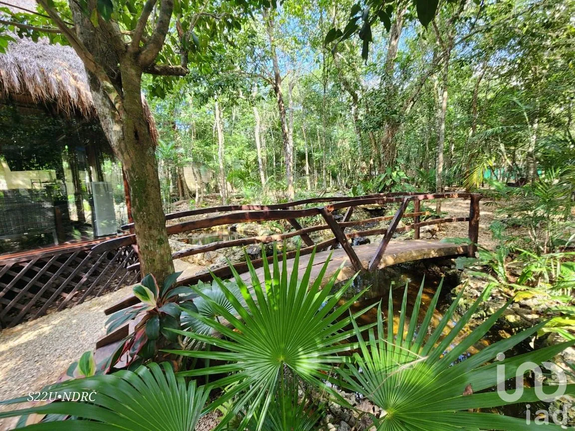Terreno en Venta en Tres Marias, Lázaro Cárdenas, Quintana Roo | NEX-245065 | iad México | Foto 18 de 25