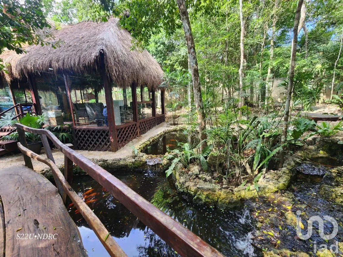 Terreno en Venta en Tres Marias, Lázaro Cárdenas, Quintana Roo | NEX-245065 | iad México | Foto 19 de 25