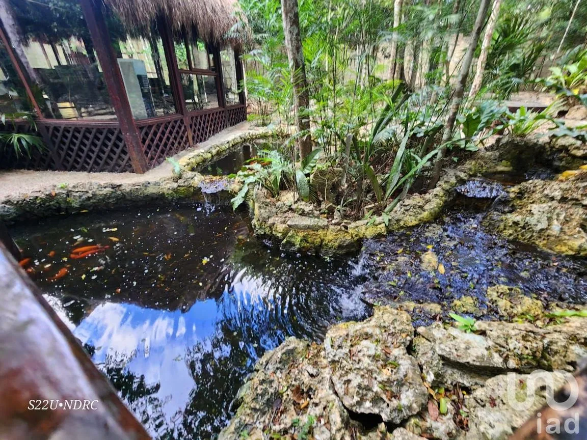 Terreno en Venta en Tres Marias, Lázaro Cárdenas, Quintana Roo | NEX-245065 | iad México | Foto 20 de 25