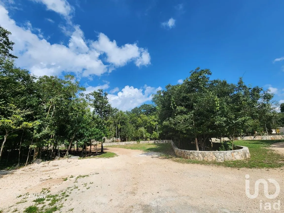 Terreno en Venta en Tres Marias, Lázaro Cárdenas, Quintana Roo | NEX-245065 | iad México | Foto 3 de 25