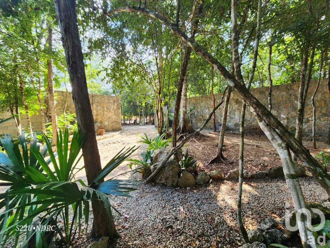 Terreno en Venta en Tres Marias, Lázaro Cárdenas, Quintana Roo | NEX-245065 | iad México | Foto 22 de 25