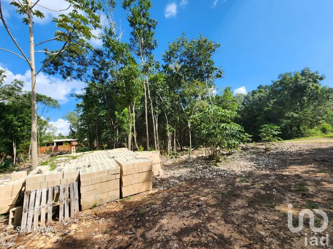 Terreno en Venta en Tres Marias, Lázaro Cárdenas, Quintana Roo | NEX-245065 | iad México | Foto 5 de 25