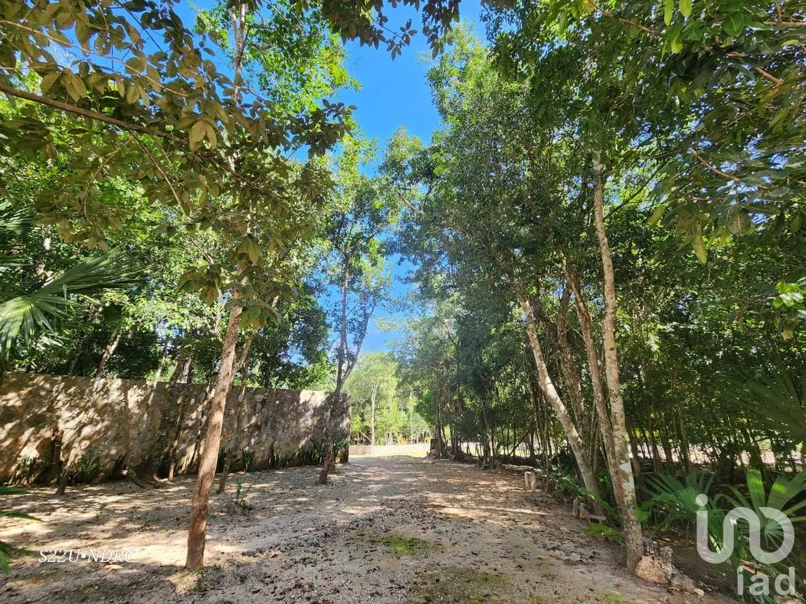 Terreno en Venta en Tres Marias, Lázaro Cárdenas, Quintana Roo | NEX-245065 | iad México | Foto 6 de 25