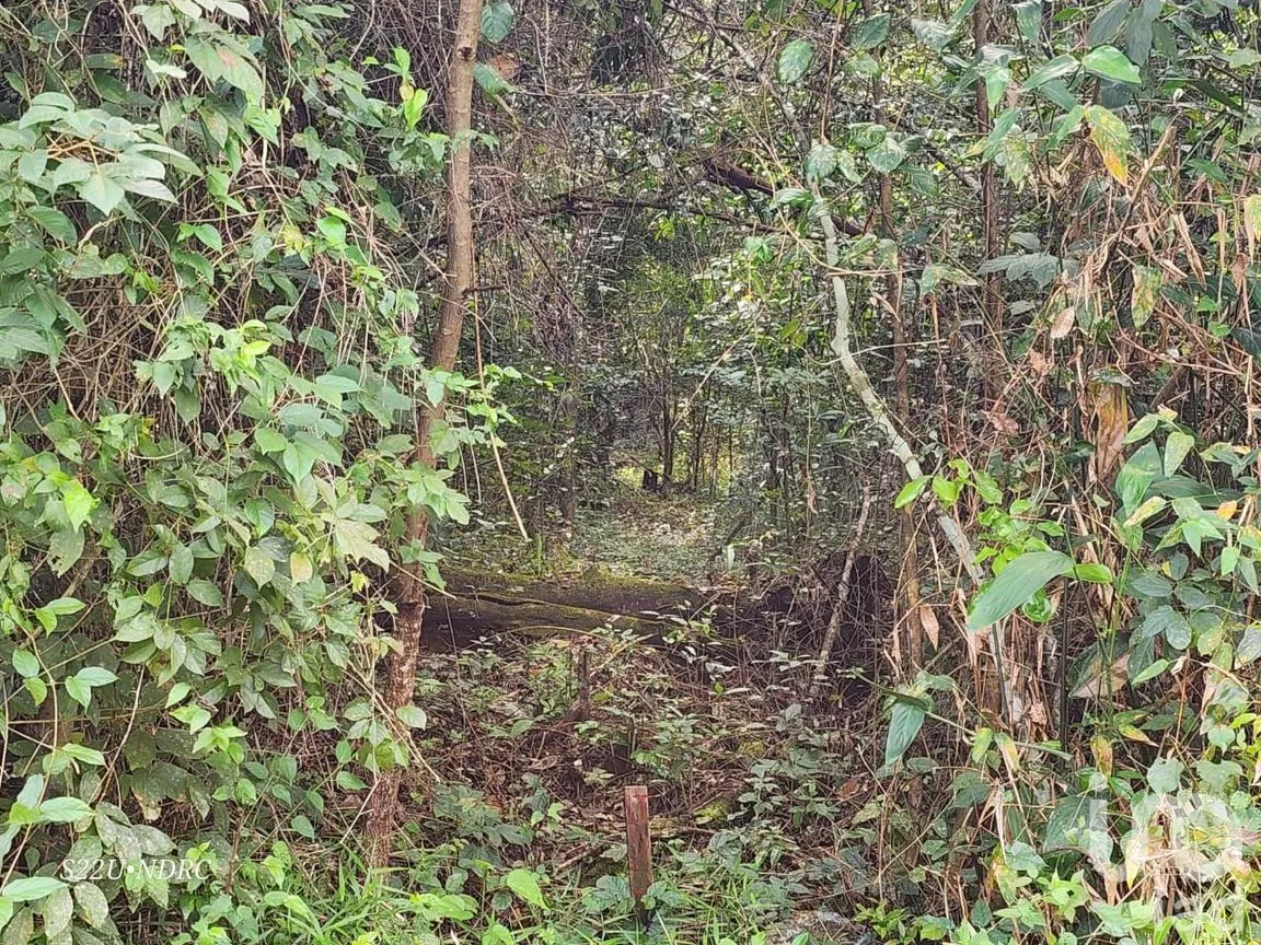 Terreno en Venta en Tres Marias, Lázaro Cárdenas, Quintana Roo | NEX-245065 | iad México | Foto 7 de 25