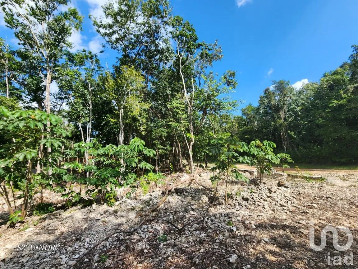 Terreno en Venta en Tres Marias, Lázaro Cárdenas, Quintana Roo | NEX-245065 | iad México | Foto 8 de 25