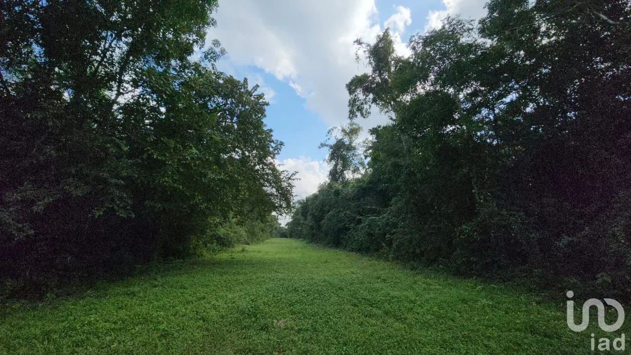 Terreno en Venta en Tres Marias, Lázaro Cárdenas, Quintana Roo | NEX-245065 | iad México | Foto 9 de 25