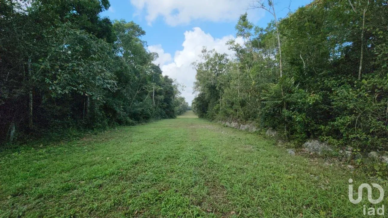 Terreno en Venta en Tres Marias, Lázaro Cárdenas, Quintana Roo | NEX-245065 | iad México | Foto 10 de 25