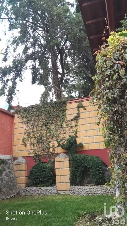 Casa en Venta en Colina del Sur, Álvaro Obregón, Ciudad de México | NEX-152494 | iad México | Foto 35 de 36