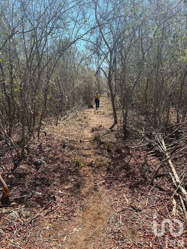 Terreno en Venta en Dzidzantún, Dzidzantún, Yucatán | NEX-189688 | iad México | Foto 2 de 5