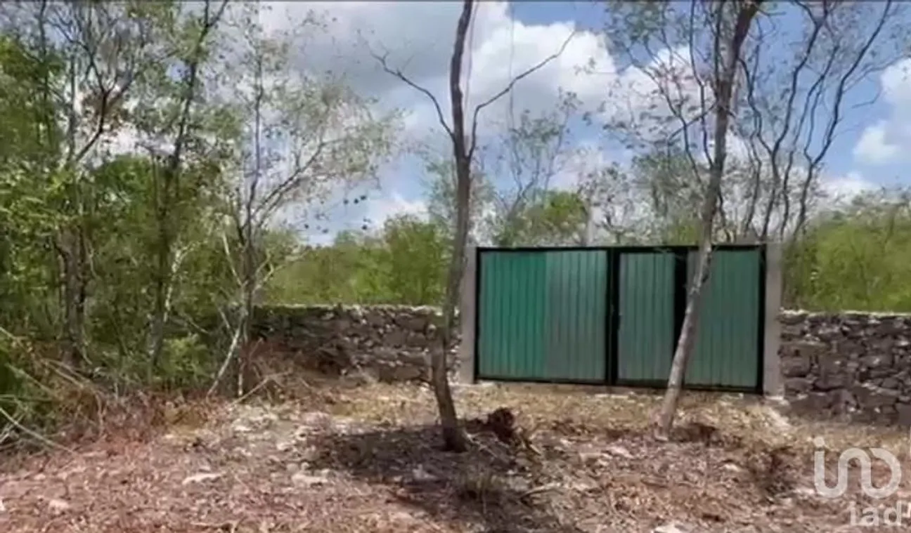 Terreno en Venta en Dzidzantún, Dzidzantún, Yucatán | NEX-189688 | iad México | Foto 4 de 5