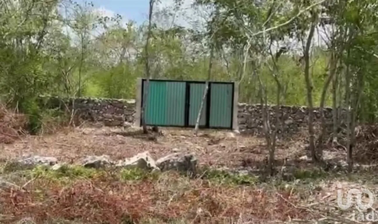 Terreno en Venta en Dzidzantún, Dzidzantún, Yucatán | NEX-189688 | iad México | Foto 5 de 5