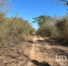 NEX-189688 - Terreno en Venta en Dzidzantún, CP 97500, Yucatán.