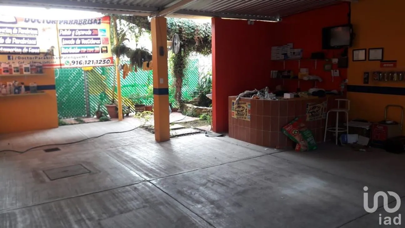 Local en Renta en Elmar Setzer, Palenque, Chiapas | NEX-47538 | iad México | Foto 2 de 3