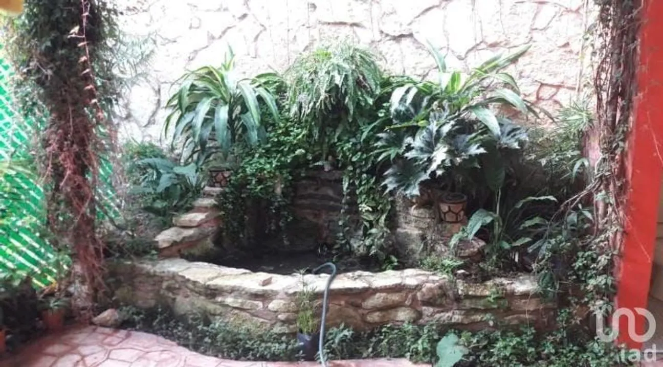 Local en Renta en Elmar Setzer, Palenque, Chiapas | NEX-47538 | iad México | Foto 3 de 3