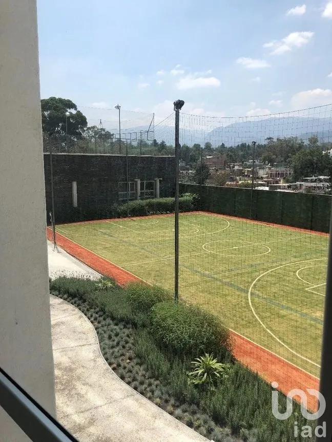 Departamento en Renta en Olivar de los Padres, Álvaro Obregón, Ciudad de México | NEX-159060 | iad México | Foto 6 de 18