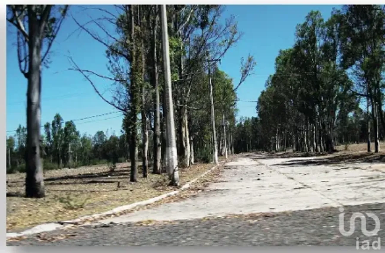 Terreno en Venta en San Fandila, Pedro Escobedo, Querétaro | NEX-182027 | iad México | Foto 4 de 8
