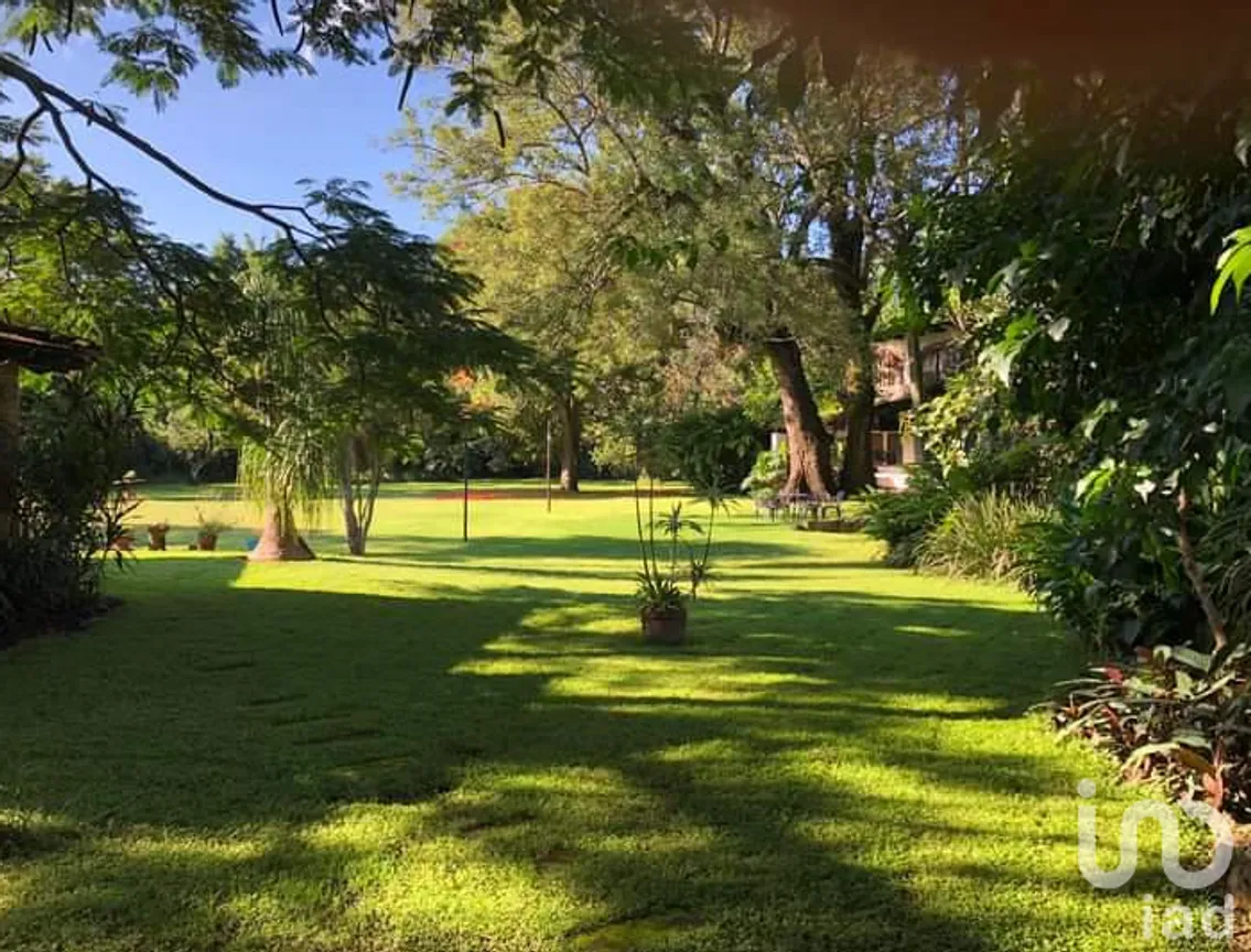Terreno en Venta en San Miguel, Tepoztlán, Morelos | NEX-218174 | iad México | Foto 5 de 10