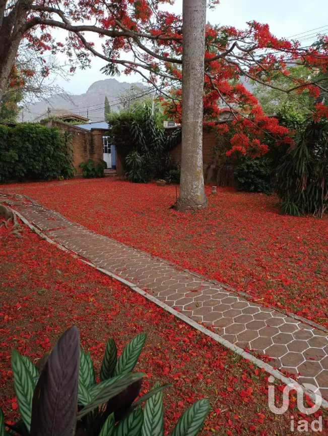 Terreno en Venta en San Miguel, Tepoztlán, Morelos | NEX-218174 | iad México | Foto 8 de 10