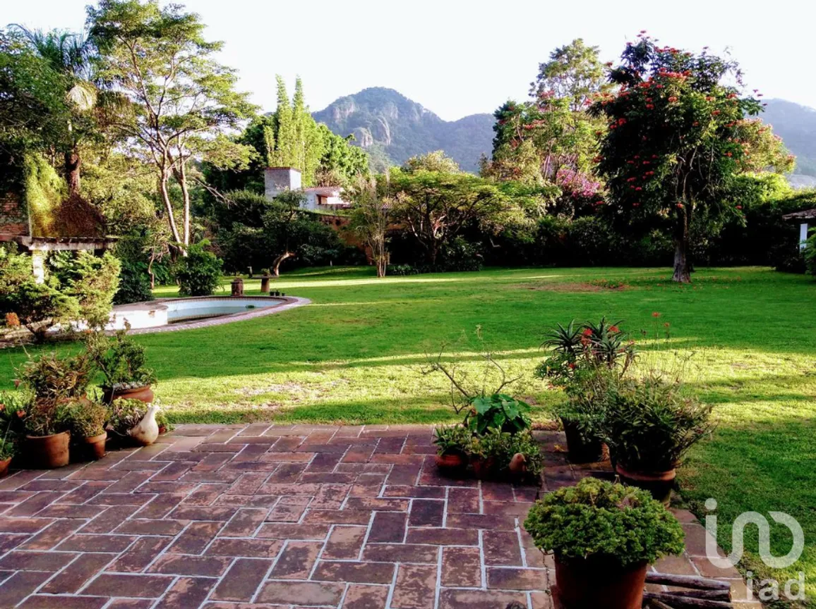 Terreno en Venta en San Miguel, Tepoztlán, Morelos | NEX-218174 | iad México | Foto 9 de 10