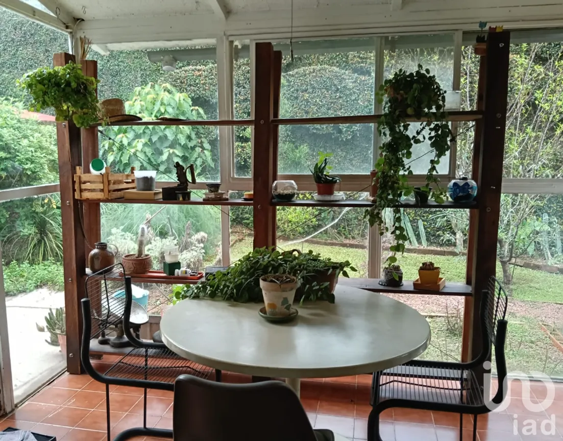 Casa en Venta en Vista Hermosa, Cuernavaca, Morelos | NEX-254356 | iad México | Foto 7 de 14