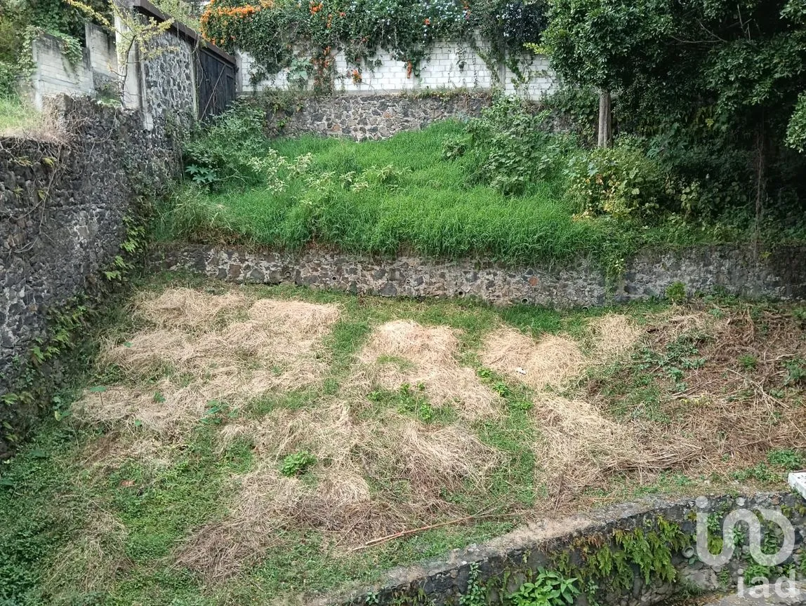 Casa en Venta en Lomas de Atzingo, Cuernavaca, Morelos | NEX-262866 | iad México | Foto 12 de 12