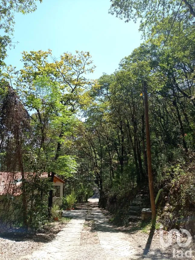 Terreno en Venta en San Nicolás, San Cristóbal de las Casas, Chiapas | NEX-150164 | iad México | Foto 1 de 6