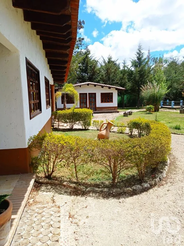 Terreno en Venta en Fátima, San Cristóbal de las Casas, Chiapas | NEX-153254 | iad México | Foto 7 de 25
