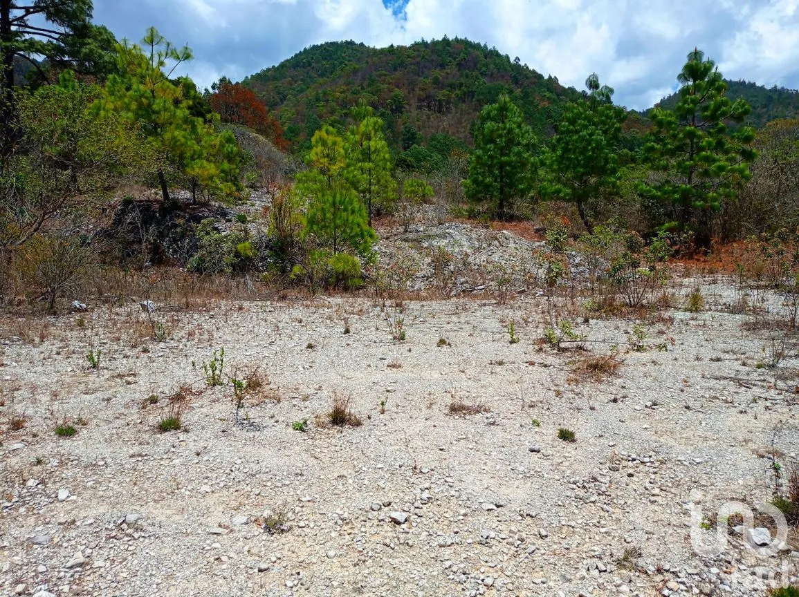 Terreno en Venta en Belen Nuevo San Gerón, Teopisca, Chiapas | NEX-154253 | iad México | Foto 8 de 16
