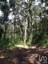 NEX-157685 - Terreno en Venta en San Nicolás, CP 29254, Chiapas.