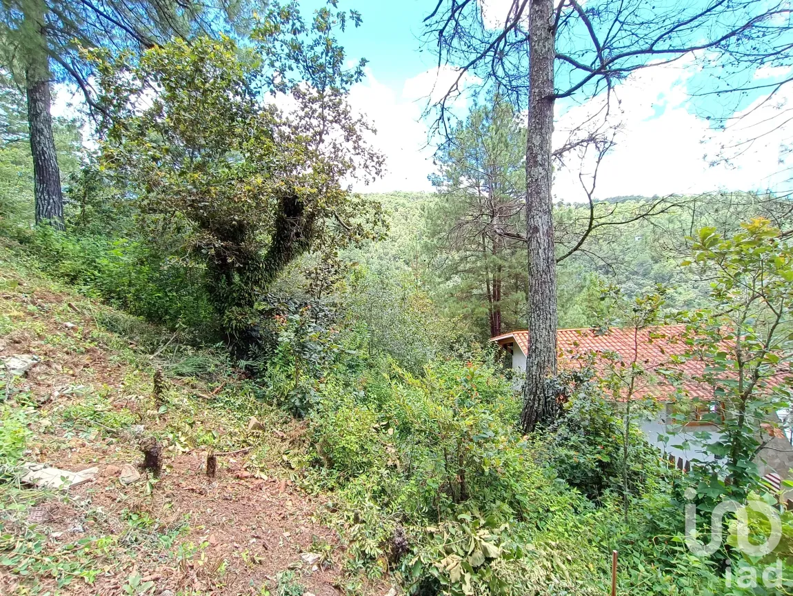 Terreno en Venta en San Nicolás, San Cristóbal de las Casas, Chiapas | NEX-183024 | iad México | Foto 3 de 7