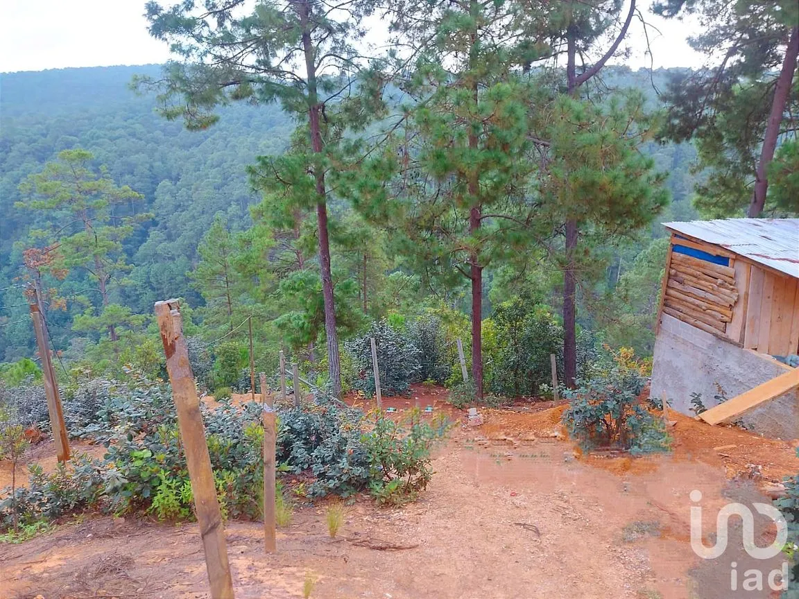 Terreno en Venta en La Garita, San Cristóbal de las Casas, Chiapas | NEX-204539 | iad México | Foto 2 de 5