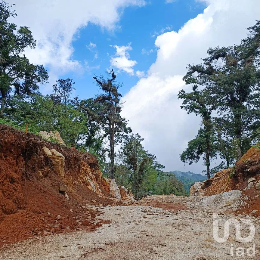 Terreno en Venta en Huitepec Ocotal Sección II, San Cristóbal de las Casas, Chiapas | NEX-219880 | iad México | Foto 7 de 10